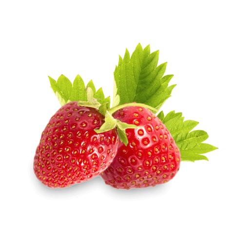 fraises frutas lopes